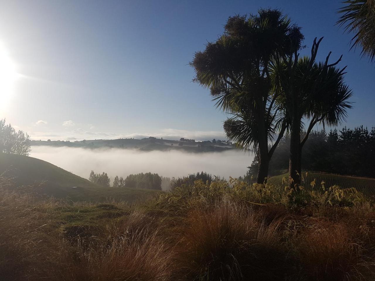 Above The River Karapiro Bed & Breakfast Екстериор снимка