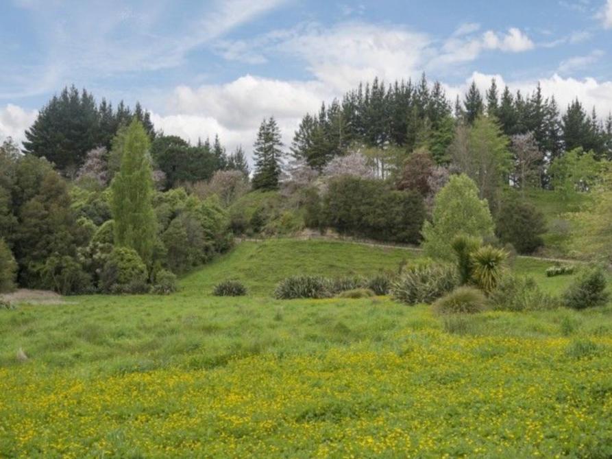 Above The River Karapiro Bed & Breakfast Екстериор снимка
