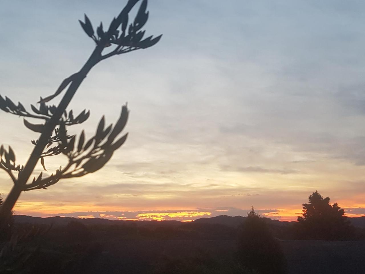 Above The River Karapiro Bed & Breakfast Екстериор снимка